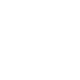 FIFA Intercontinental Cup white (Tournaments) logo