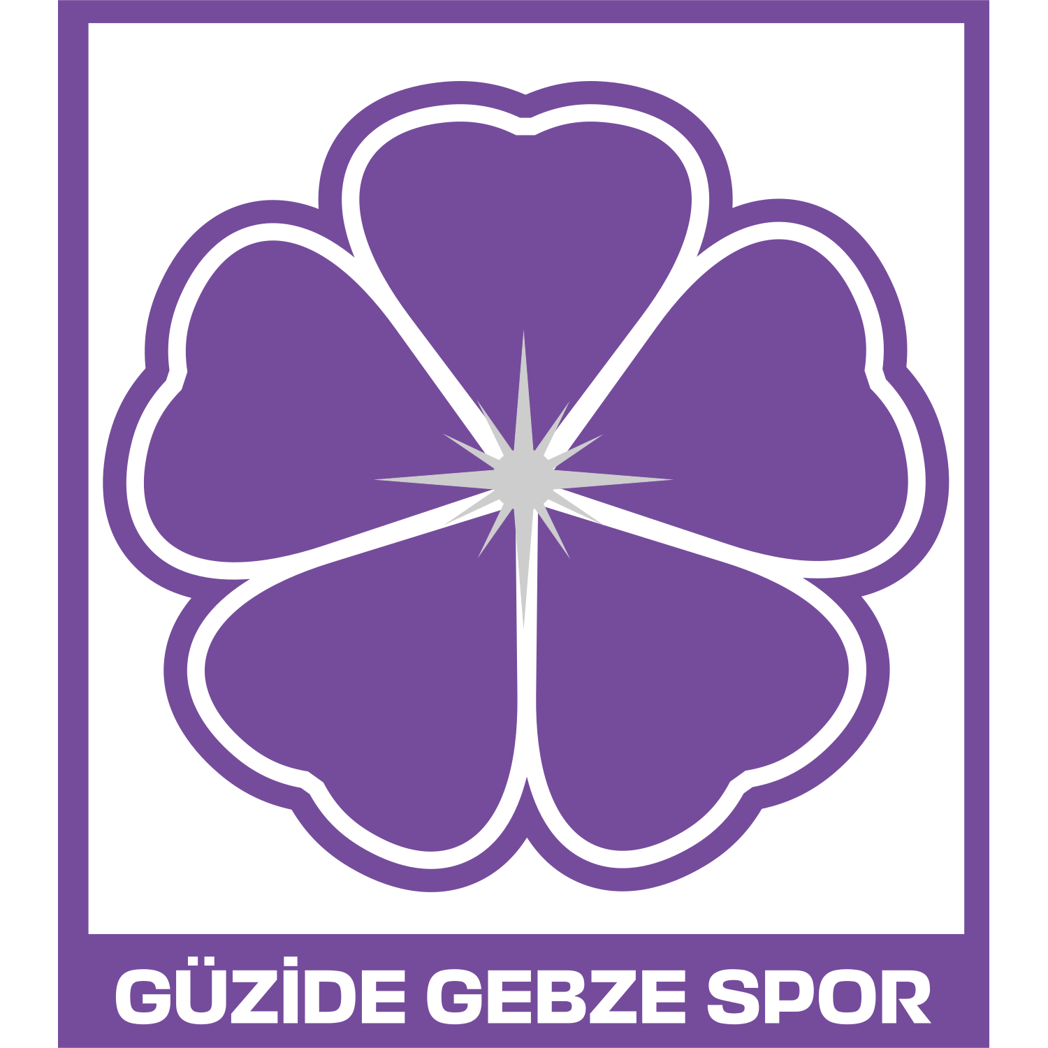 Güzide Gebzespor logo – transparent PNG