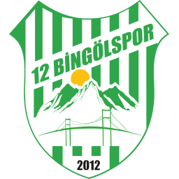 12 Bingölspor logo