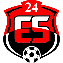Erzincanspor logo