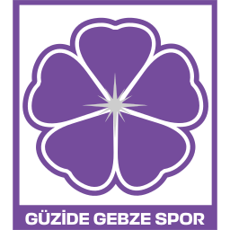 Güzide Gebzespor logo