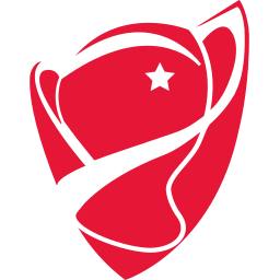 Turkish Cup logo