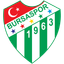Bursaspor (Turkey) logo