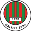Maltepespor logo