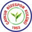 Çaykur Rizespor (Turkey) logo