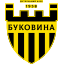 Bukovyna Chernivtsi (Persha Liga) logo