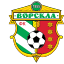 Vorskla Poltava (Ворскла Полтава) (Ukraine) logo