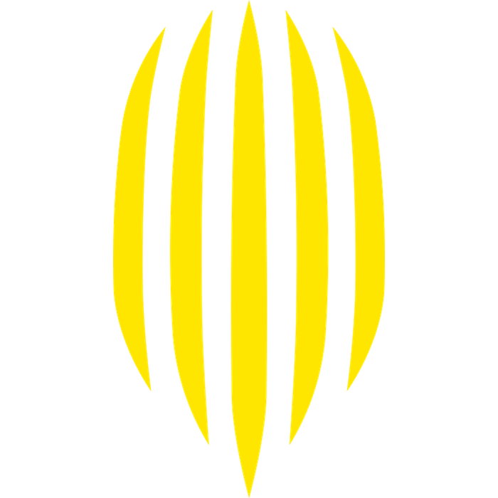 Rukh Lviv (Рух Львів) (Ukraine) logo