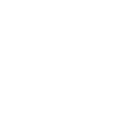 Uzbekistan Super League (UZSL) white (Uzbekistan) logo