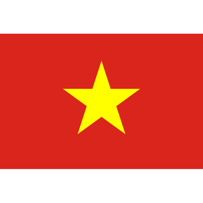 Vietnam National Team (Vietnam) logo