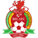 Briton Ferry Llansawel logo