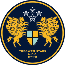 Treowen Stars logo
