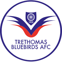 Trethomas Bluebirds logo