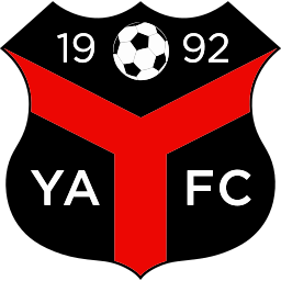 Ynyshir Albions logo