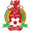Briton Ferry Llansawel (Wales) logo
