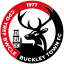 Buckley Town (Wales) logo