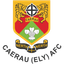 Caerau Ely (Wales) logo