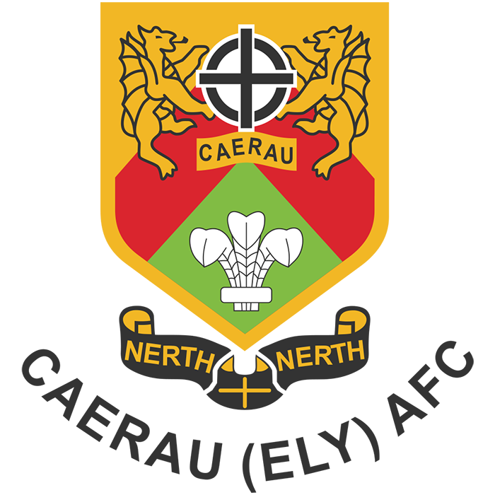 Caerau Ely (Wales) logo