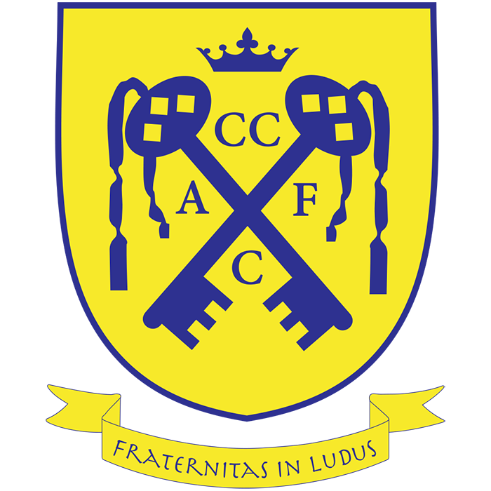 Cwmbran Celtic (Wales) logo